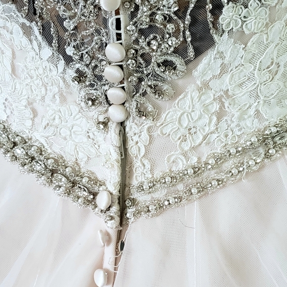 ALLURE Romantic Ivory Lace and Blush Tulle Wedding Gown - Picture 7 of 11